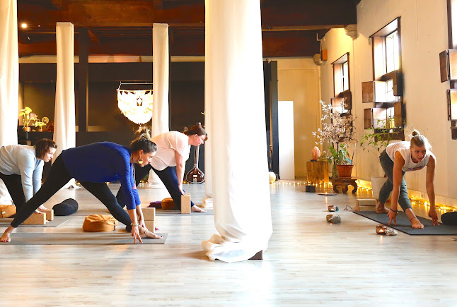 FLOW yoga en welzijn