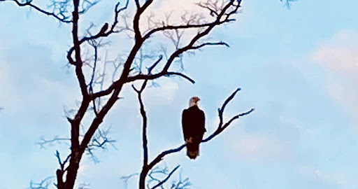 Golf Course «Charleston Springs Golf Course», reviews and photos, 101 Woodville Rd, Millstone, NJ 08510, USA