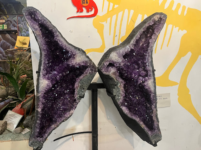 Stone Science - Shop