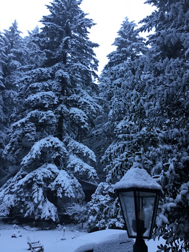 Wedding Chapel «Dancing Deer Mountain», reviews and photos, 25545 Hall Rd, Junction City, OR 97448, USA