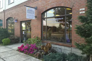 Springwater Chiropractic and Massage image