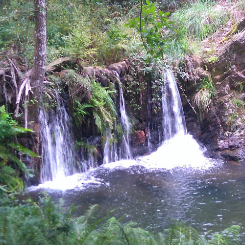 Quinta do Cântaro - Ovar