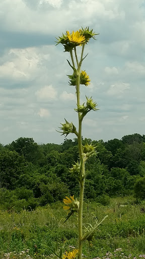 Park «Glenwood Gardens», reviews and photos, 10397 Springfield Pike, Cincinnati, OH 45215, USA