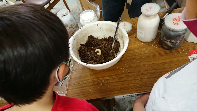 館山クワガタセンター 千葉県館山市正木 ペットショップ グルコミ