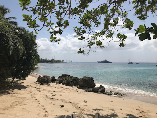 Braddy's beach
