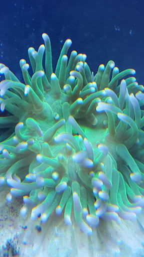 Pet Store «Zoo Pet Center», reviews and photos, 828 Washington St, Peekskill, NY 10566, USA