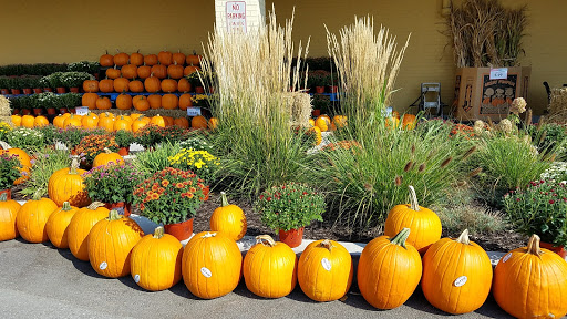 Grocery Store «Strack & VanTil Food Market», reviews and photos, 2168 W US Hwy 30, Valparaiso, IN 46385, USA