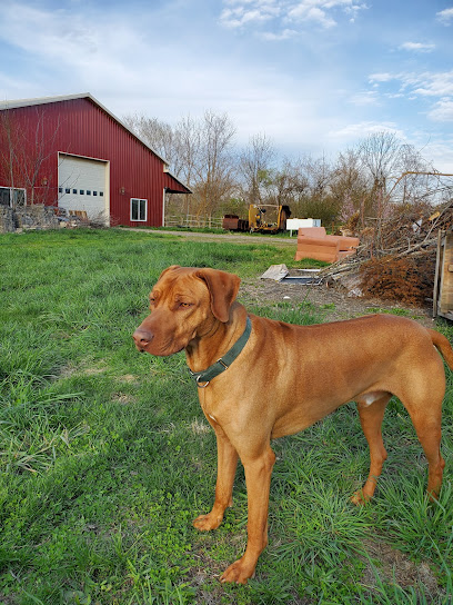 Barnyard Therapy Carefarm: Human & Animal Alliance NFP