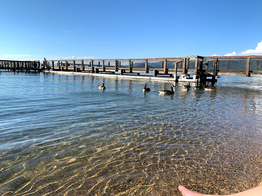 Tahoe Beach & Ski Club image