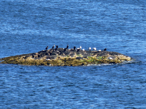 Park «Fort Sewall», reviews and photos, 8 Fort Sewall Ln, Marblehead, MA 01945, USA