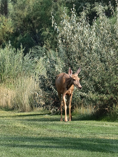 Golf Driving Range «River Oaks Golf Course», reviews and photos, 9300 Riverside Dr, Sandy, UT 84070, USA