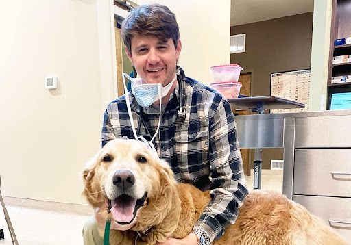 Walker Canine Care image