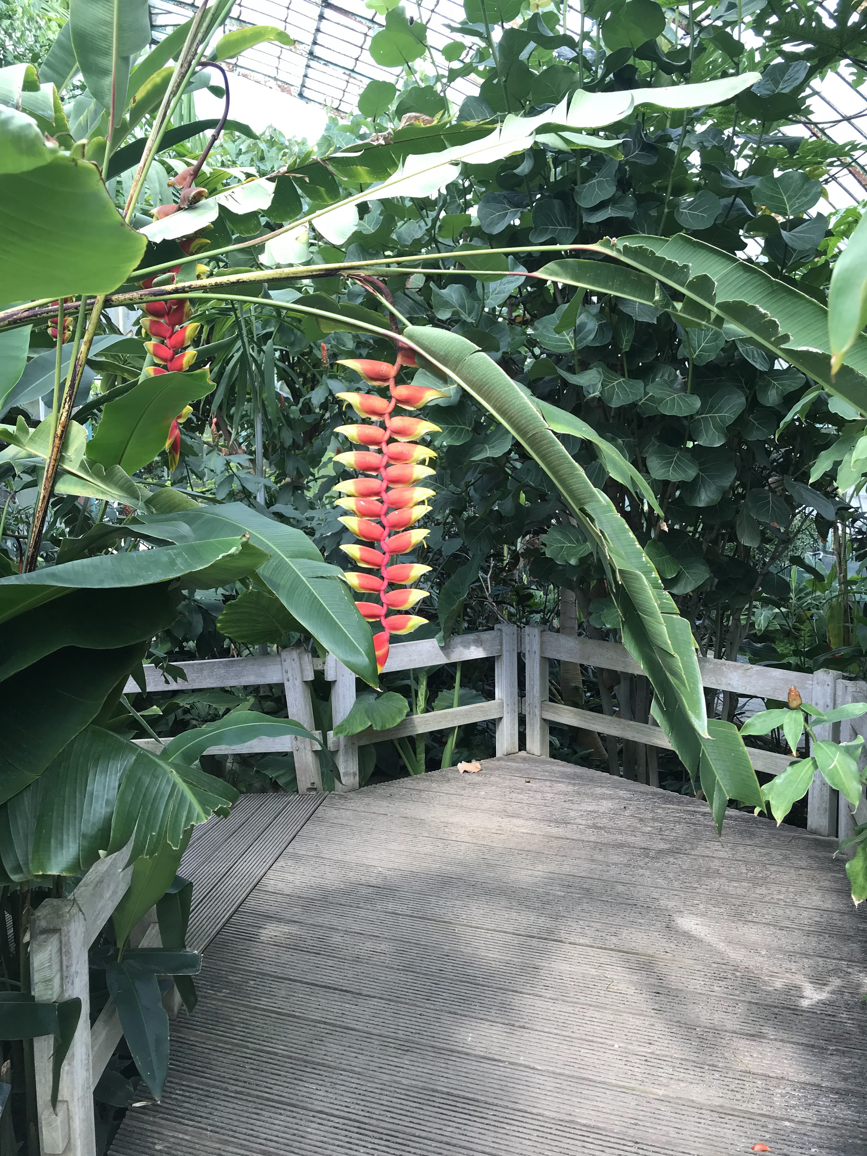 Photo n° 4 de l'avis de Ananas.a fait le 20/10/2018 à 22:36