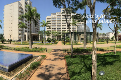 WIYM - Agência de Comunicação e Eventos Vila Hamburguesa São Paulo SP