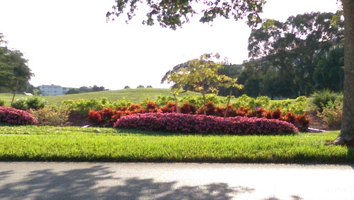 Golf Course «Wynmoor Golf Course», reviews and photos, 1310 Avenue of the Stars, Coconut Creek, FL 33066, USA