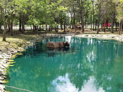 Tourist Attraction «Lucky Ladd Farms», reviews and photos, 4374 Rocky Glade Rd, Eagleville, TN 37060, USA