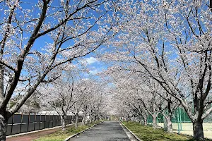 Hiroshima University image