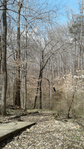 Tourist Attraction «Adventureworks Nashville West (Kingston Springs)», reviews and photos, 1300 Narrows of the Harpeth Rd, Kingston Springs, TN 37082, USA
