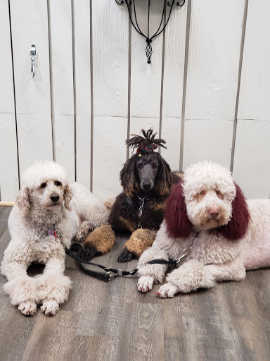 Pet Groomer «Ufuri Pet Salon», reviews and photos, 235 Huron Ave, Port Huron, MI 48060, USA