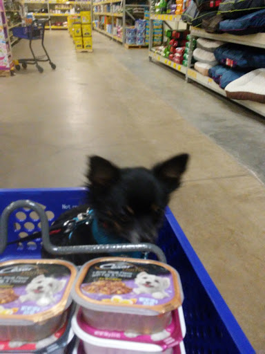 Pet Supply Store «PetSmart», reviews and photos, 5418 E 41st St, Tulsa, OK 74135, USA