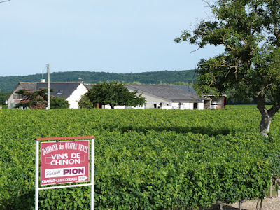 Domaine des quatre vents Philippe et Aurélien Pion à Cravant-les-Côteaux
