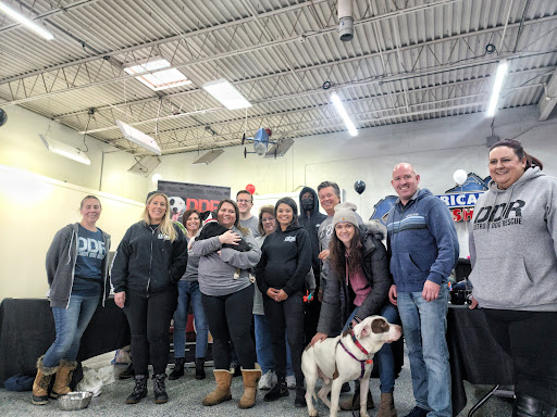 Used Car Dealer «City of Cars», reviews and photos, 1695 Stutz Dr, Troy, MI 48084, USA