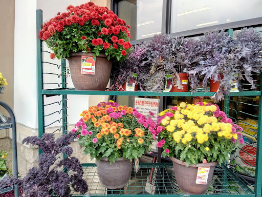 Hardware Store «Frattallones Ace Hardware», reviews and photos, 1350 County Rd 42 W, Burnsville, MN 55337, USA