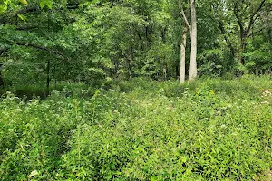 Tallgrass Prairie Heritage Park image