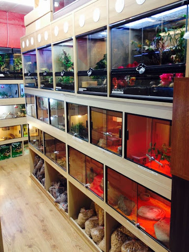 Reptile shops in Liverpool