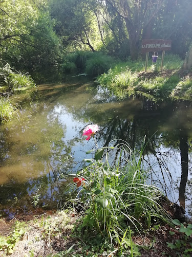 La fontaine d'André à Sommières-du-Clain