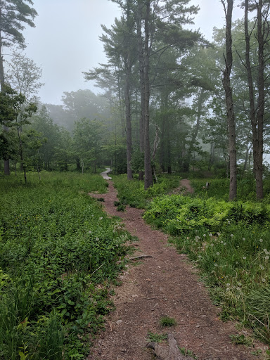 Nature Preserve «Littlejohn Island Preserve», reviews and photos, Pemasong Ln, Yarmouth, ME 04096, USA