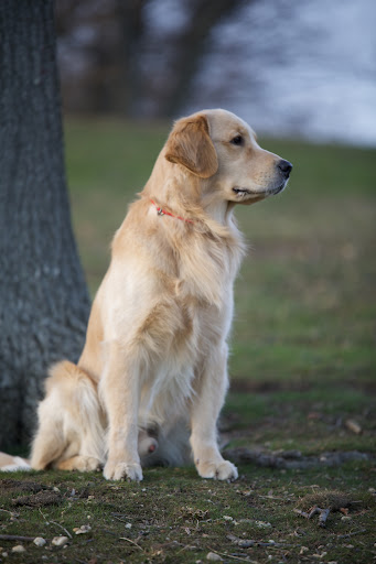 Park «Cedar Creek Park», reviews and photos, 3340 Merrick Rd, Seaford, NY 11783, USA