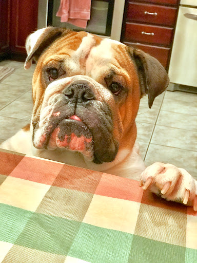 Tattoo Shop «Pare Eddie Tattoo & Piercing Salon», reviews and photos, 14181 Newport Ave e, Tustin, CA 92780, USA