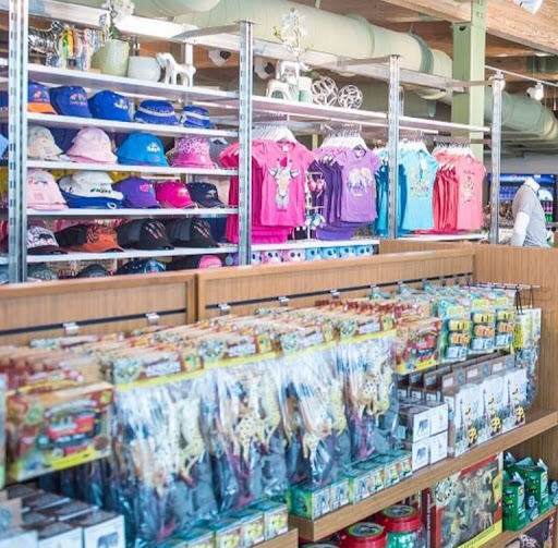 Zoo «Zoo Miami», reviews and photos, 12400 SW 152nd St, Miami, FL 33177, USA