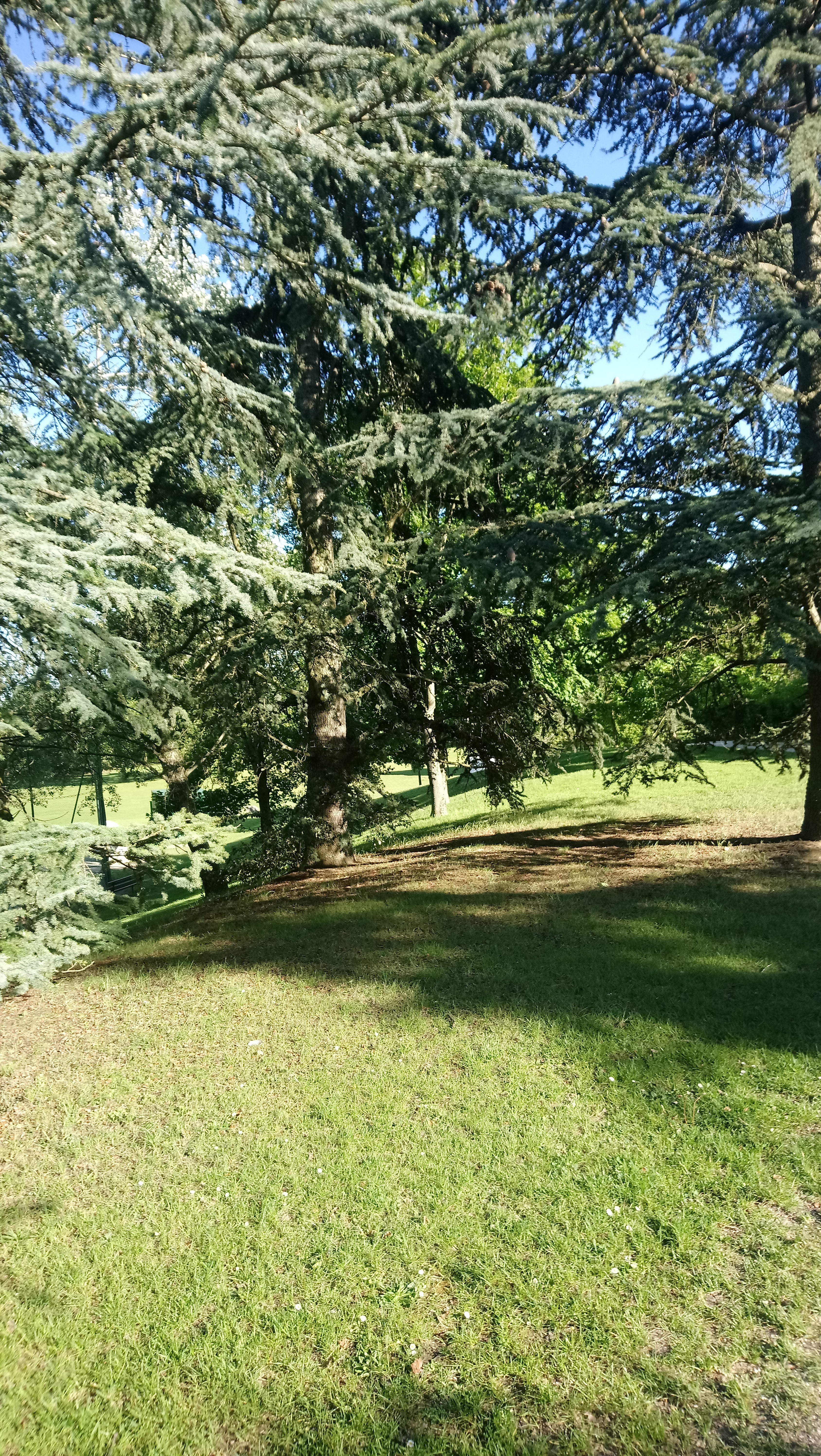 Photo n° 3 de l'avis de Martin.x fait le 13/05/2019 à 20:59