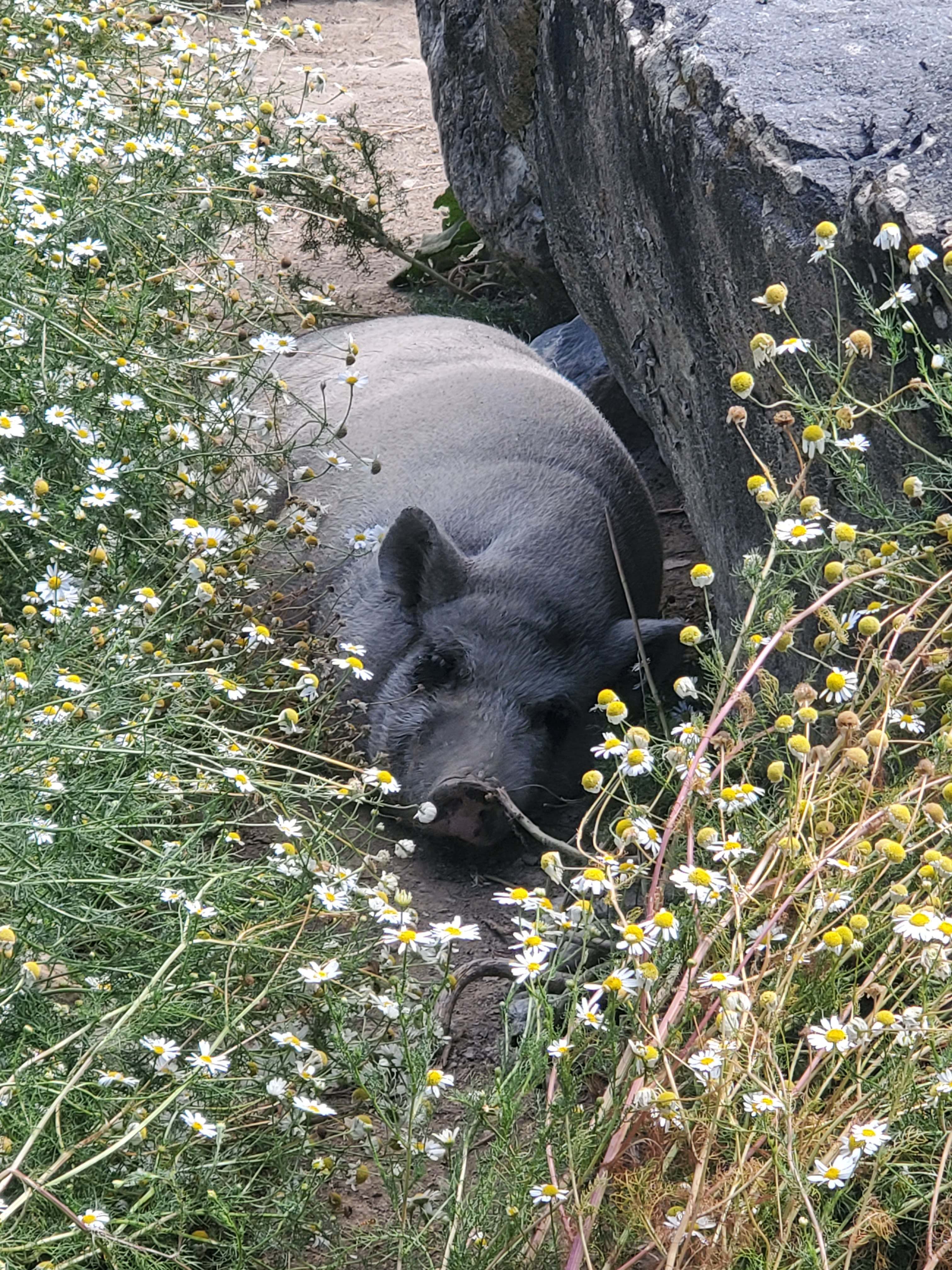 Photo n° 11 de l'avis de Lynda.e fait le 15/08/2023 à 10:47