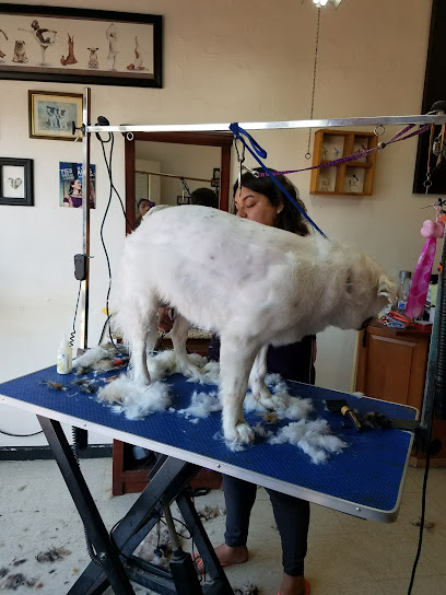 Bebbys Dog Grooming