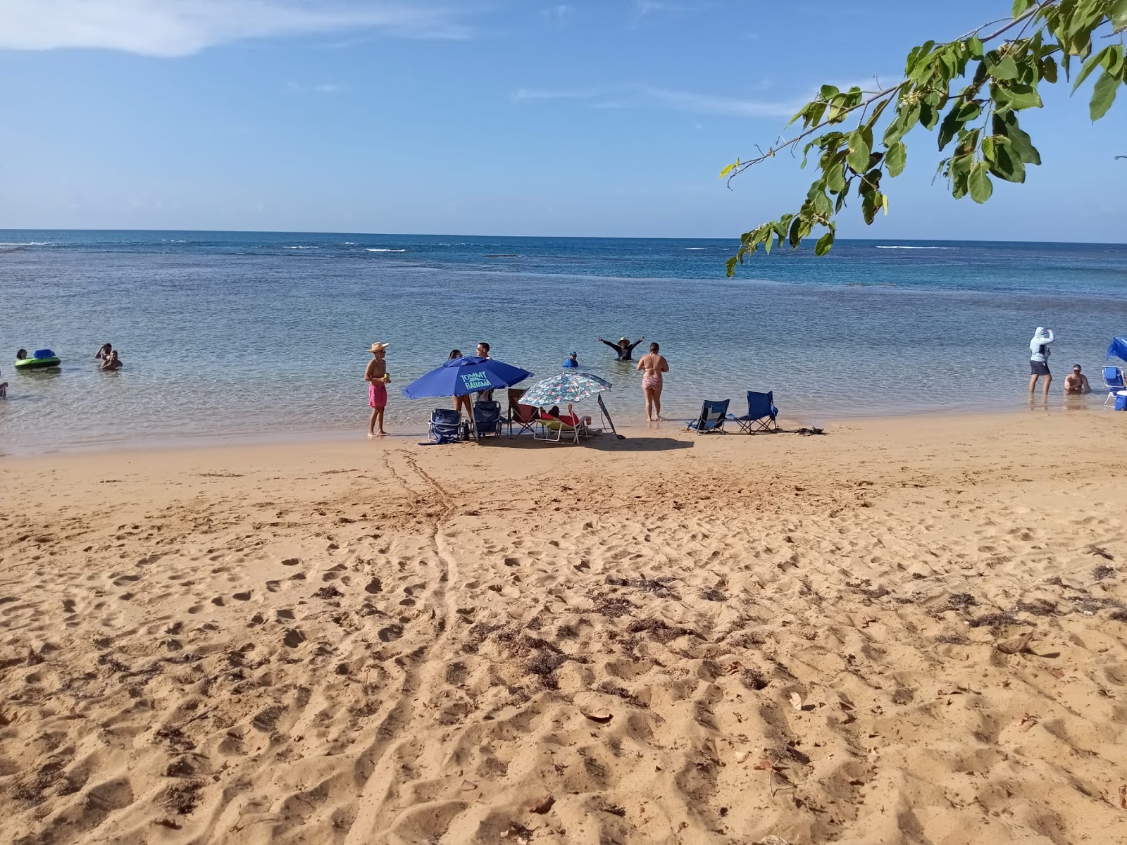 Playa La Selva'in fotoğrafı - rahatlamayı sevenler arasında popüler bir yer
