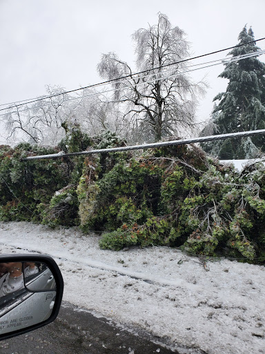 Used Car Dealer «D&C Motors», reviews and photos, 2627 SE Holgate Blvd, Portland, OR 97202, USA