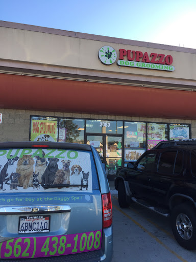 Pet Groomer «Pupazzo Dog Grooming Xprss & Pet Supplies», reviews and photos, 2080 E Pacific Coast Hwy, Long Beach, CA 90804, USA