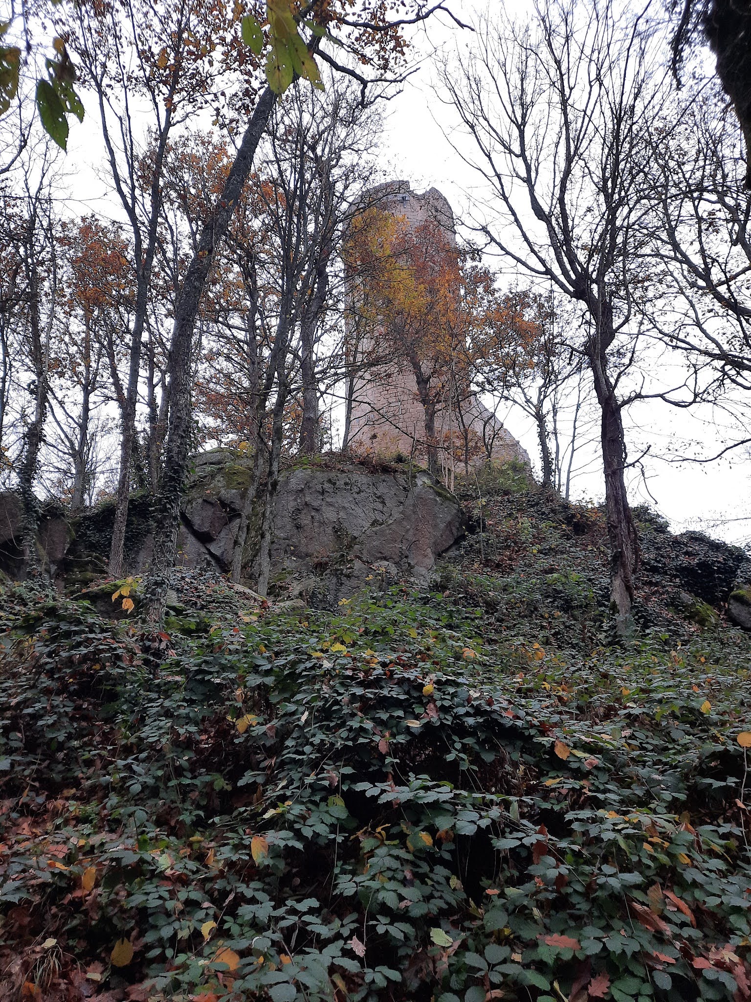 Photo n° 18 de l'avis de Cédric.O fait le 15/11/2021 à 19:45