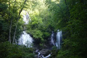 Anna Ruby Falls Visitor Center & Gift Shop image