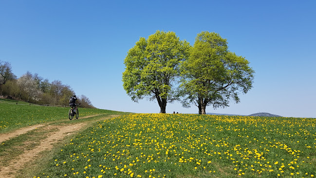 Kommentare und Rezensionen über ADVENTURE-BIKE