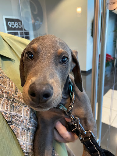 Family Law Attorney «Best Law Firm», reviews and photos