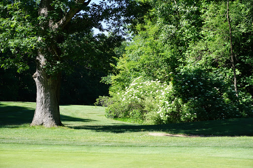 Golf Course «Whittaker Woods Golf Club», reviews and photos, 12578 Wilson Rd, New Buffalo, MI 49117, USA