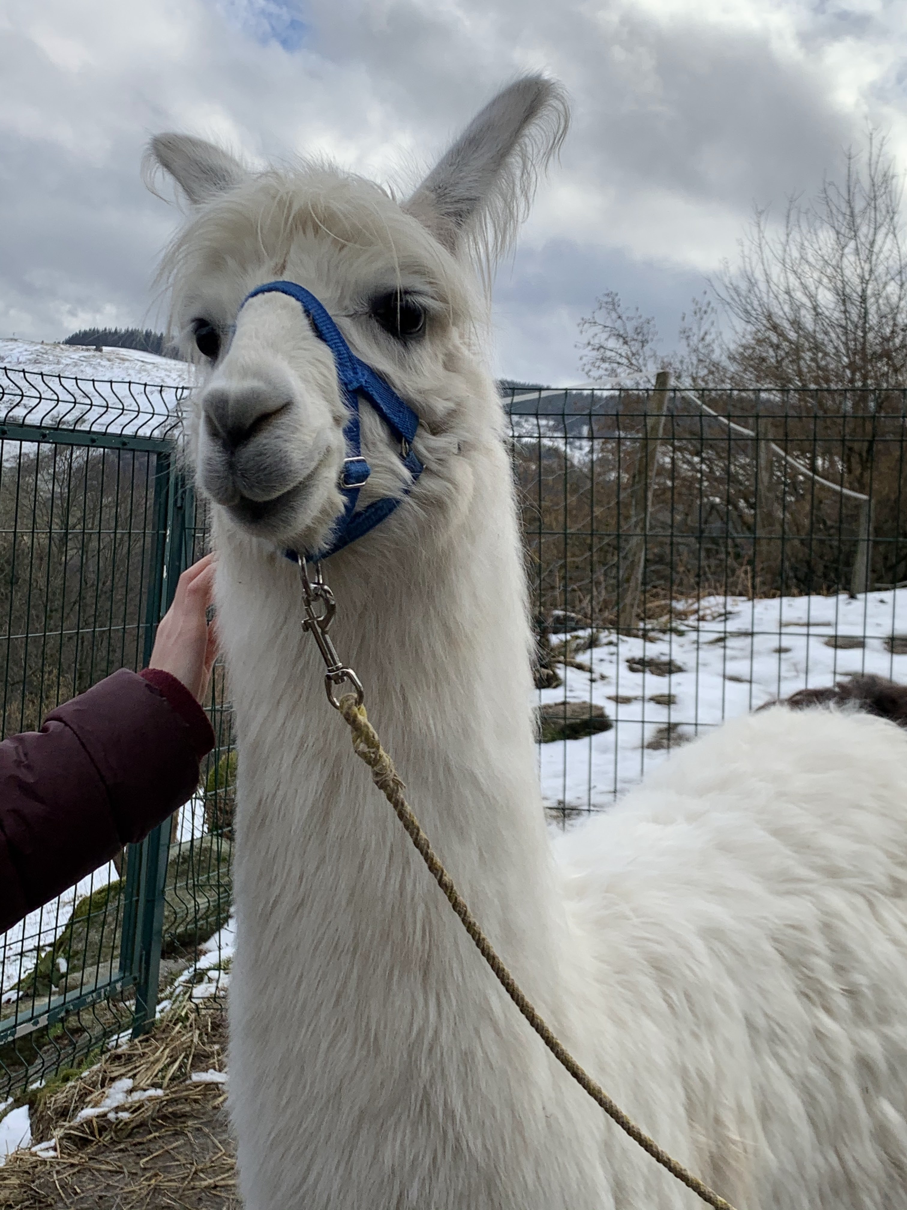 Photo n° 1 de l'avis de Gwendoline.a fait le 20/02/2020 à 15:02
