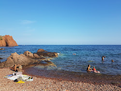 Foto di Plage de Maupas zona selvaggia