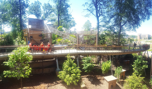 Natural History Museum «Cleveland Museum of Natural History», reviews and photos, 1 Wade Oval Dr, Cleveland, OH 44106, USA