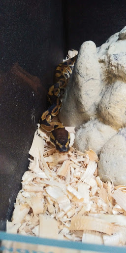 Pet Supply Store «PetSmart», reviews and photos, 9835 Chapman Ave, Garden Grove, CA 92841, USA