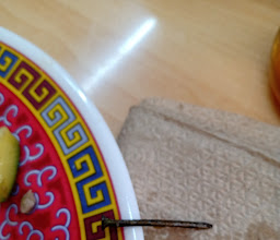 Hong Fa Comida China photo